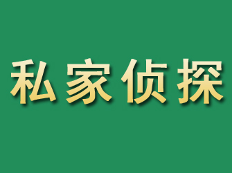 巧家市私家正规侦探